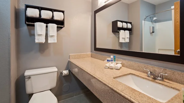 غرفة قياسية بسرير كينج، Best Western Executive Inn Mount Gilead 3/4