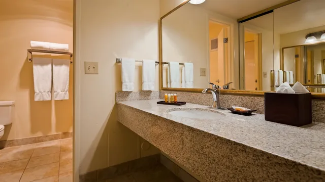 Standard, King Bed, Balcony, Best Western Plus Royal Oak Hotel 7/7