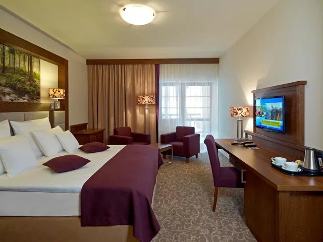Connecting, Superior, Double Bed, Connecting Sofa, Hotel Mercure Krynica Zdroj Resort and Spa 1/9