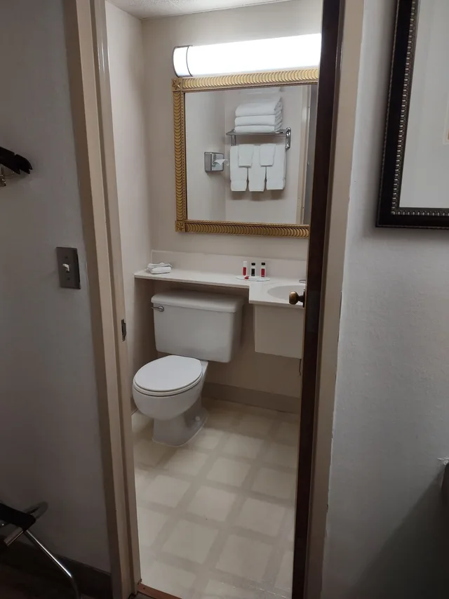 Room, King Bed, Albert Lea Inn & Suites 3/5
