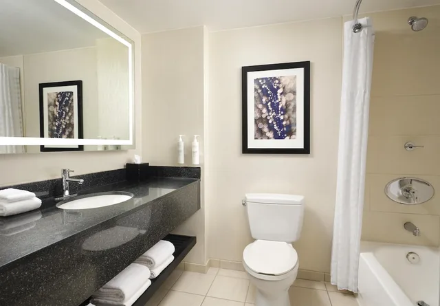 جناح بريميوم بسرير كينج مع أريكة، Embassy Suites by Hilton Chicago Downtown Magnificent Mile 6/7