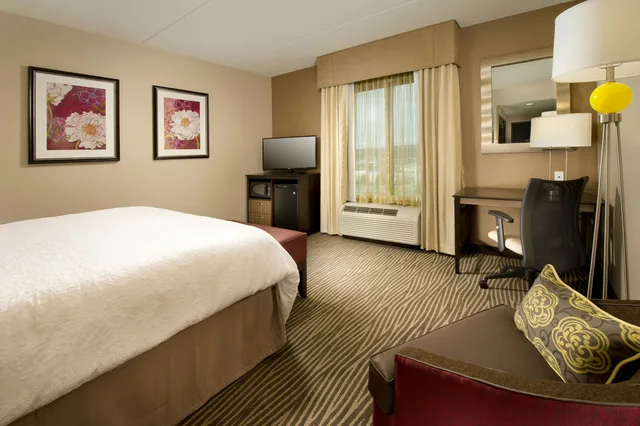 غرفة بسرير كينج لذوي الإعاقة، Hampton Inn & Suites Chattanooga/Hamilton Place 3/8