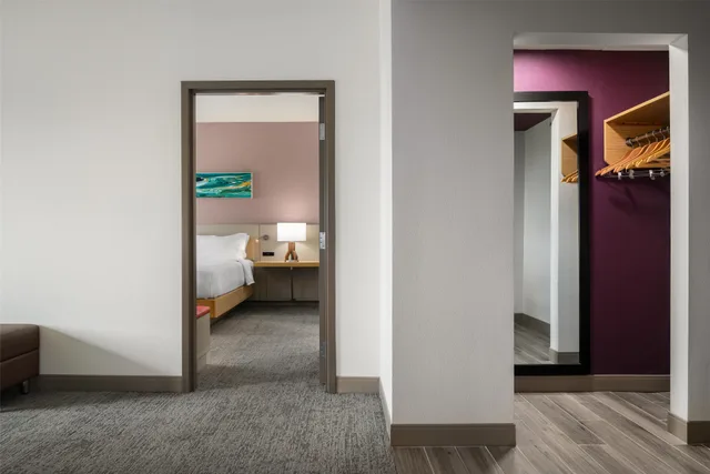 1 Bedroom, Suite, King Bed, Scenic View, Sofa، Hilton Garden Inn Millenia Near Universal Orlando Resort 6/6