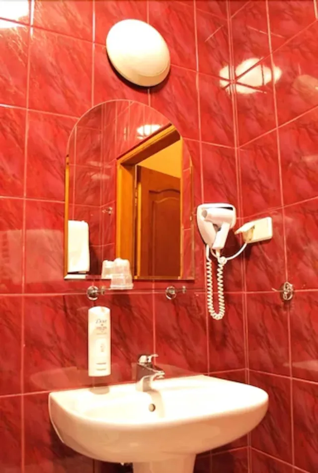 غرفة قياسية بسرير مزدوج أو سريرين منفصلين، Hotel Regent 9/9