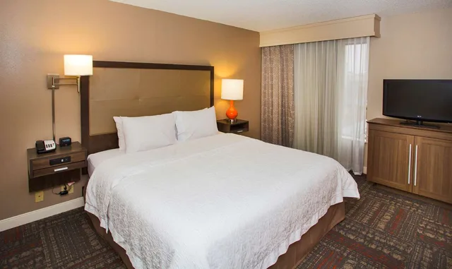 جناح استوديو بسرير كينج مع أريكة، Hampton Inn and Suites Valdosta Conference Center 1/2