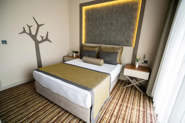 جناح سوبيريور بسرير كينج، Hierapark Thermal Spa Hotel 3/8