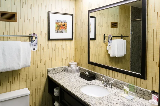 Standard, King Bed, Holiday Inn Express Big Rapids, an IHG Hotel 3/4