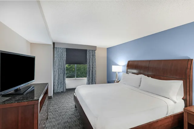 Junior Suite, King Bed, Hilton Garden Inn Aiken 1/2