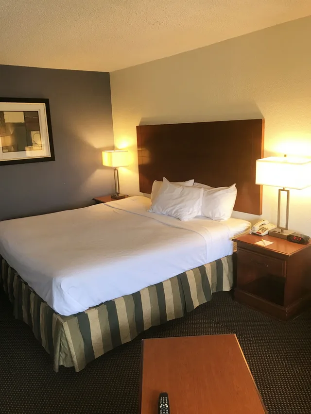 جناح استوديو بسرير كينج، Days Inn & Suites by Wyndham Mobile 3/7