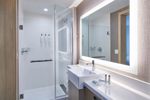studio, multiple beds، SpringHill Suites Detroit Dearborn 2/3