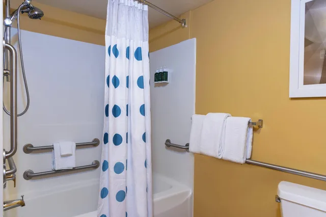 استوديو لذوي الإعاقة، Towneplace Suites East Lansing 4/5