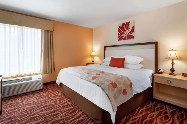 جناح استوديو ديلوكس بسرير كينج لذوي الإعاقة، HAWTHORN SUITES BY WYNDHAM ALLENTOWN-FOGELSVILLE 1/5