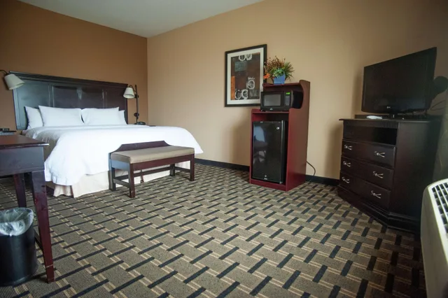 غرفة بسرير كينج لذوي الإعاقة، Hampton Inn & Suites Palestine 1/1