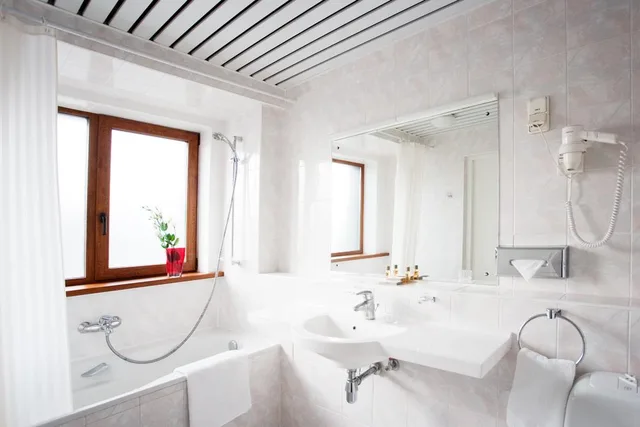 Suite, King Bed, Sauna، Best Western Vilnius 2/2