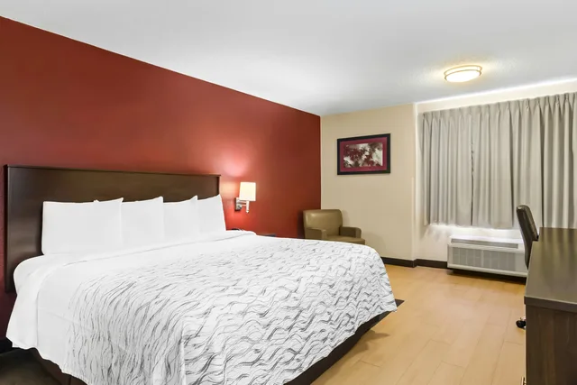 Non-Smoking Superior 1 King Bed, Micro-Fridge، Red Roof PLUS Jacksonville - Southpoint 1/3