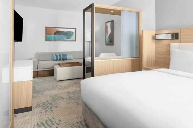 Studio, Suite, King Bed, Sofa, Springhill Suites By Marriott Grand Island 1/10