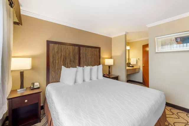 غرفة بسرير كينج، Best Western Plus Orchid Hotel & Suites 2/8