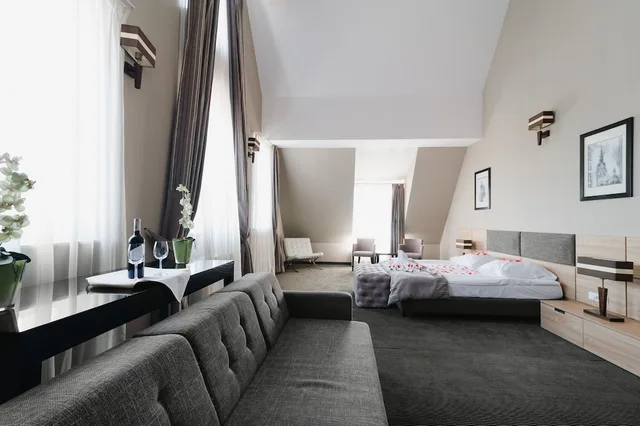 جناح جونيور بسرير مزدوج، Focus Hotel Premium Elblag 2/3