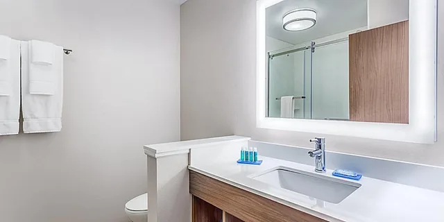 غرفة قياسية بسرير كينج لذوي الإعاقة، Holiday Inn Express and Suites Brighton 2/2