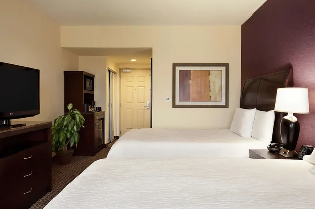 Evolution, Junior Suite, 2 Queen Beds، Hilton Garden Inn New Braunfels 7/10