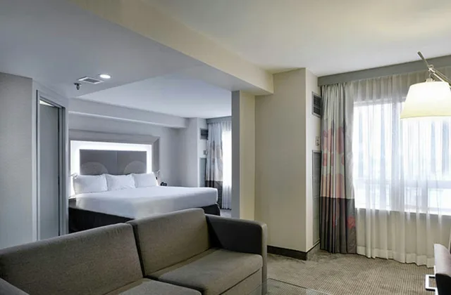 جناح جونيور بسرير كينج، DoubleTree by Hilton Ottawa Downtown 1/1