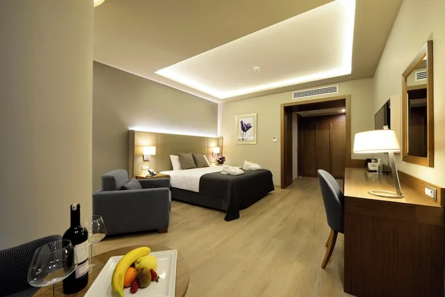 غرفة بريميوم بسرير كينج بإطلالة على المدينة للمدخنين، Holiday Inn Bursa - City Centre 5/7