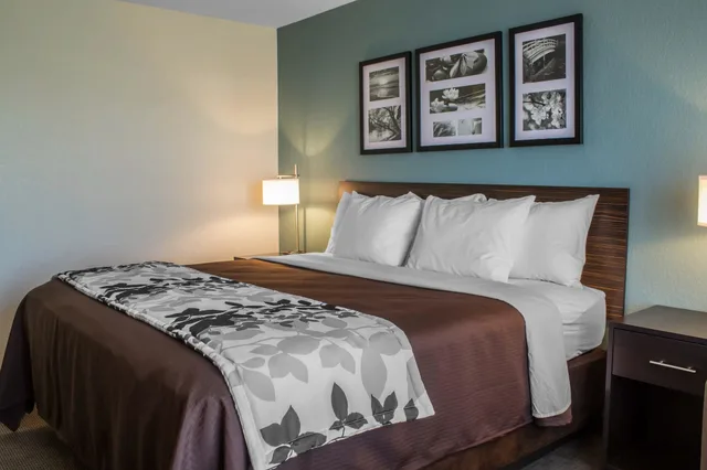جناح بسرير كينج مع أريكة لذوي الإعاقة، Sleep Inn & Suites Fort Dodge 1/4