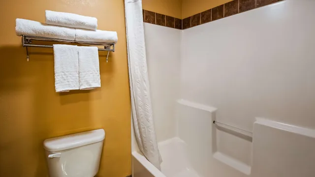 غرفة قياسية بسرير كينج، Best Western Sawtooth Inn & Suites 8/8