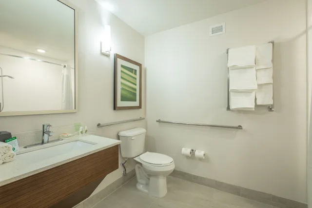 غرفة قياسية بسريرين مزدوجين، Holiday Inn Hotel Suites Peachtree City 9/9