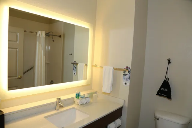 غرفة قياسية بسرير كينج لذوي الإعاقة، Holiday Inn Express Hotel Suites Greenville 3/3