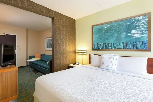 جناح بسرير كينج مع أريكة، Springhill Suites by Marriott Austin South 1/4
