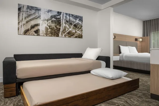 Pure, Wellness, Guest Room, King Bed, Sofa، Springhill Suites Atlanta Buford Mall of Georgia 4/10