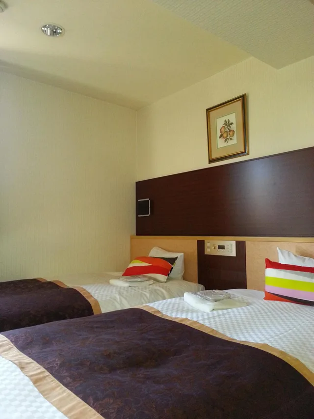 غرفة بسريرين منفصلين، Ueno First City Hotel 8/10
