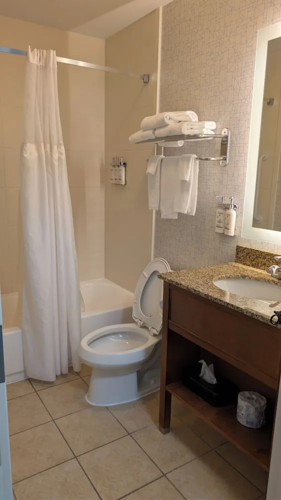 غرفة بسرير كينج لذوي الإعاقة، Holiday Inn Express Philadelphia Airport 2/4