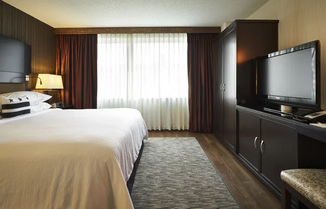 Suite, King Bed, Murphy Bed، Embassy Suites By Hilton Washington Dc Chevy Chase Pavilion 3/4