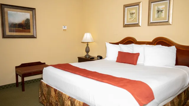 غرفة قياسية بسرير كينج، Clarion Hotel & Suites - Convention Center Fredericksburg 3/7