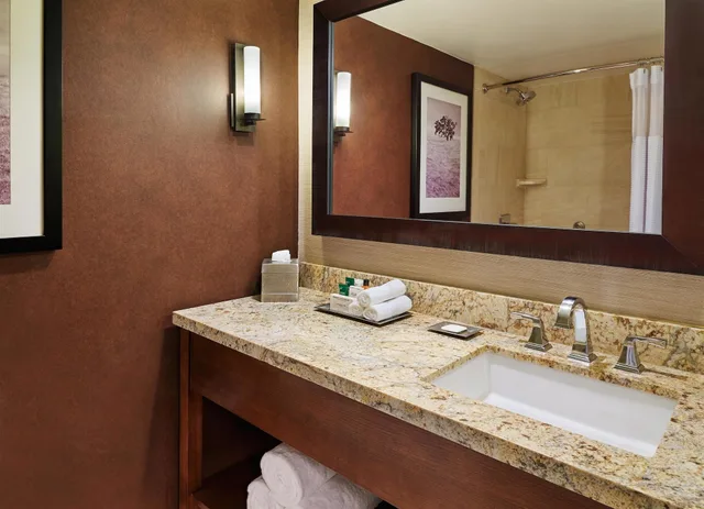 غرفة قياسية بسرير كينج، DoubleTree by Hilton San Antonio Airport 2/2