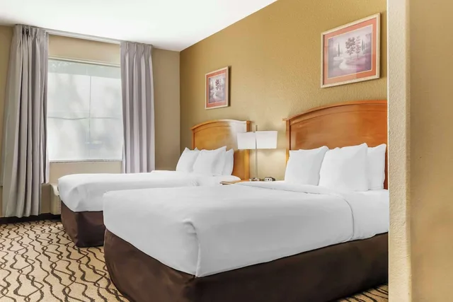 غرفة بسريرين كوين لذوي الإعاقة، Comfort Inn & Suites Chesapeake - Portsmouth 2/3