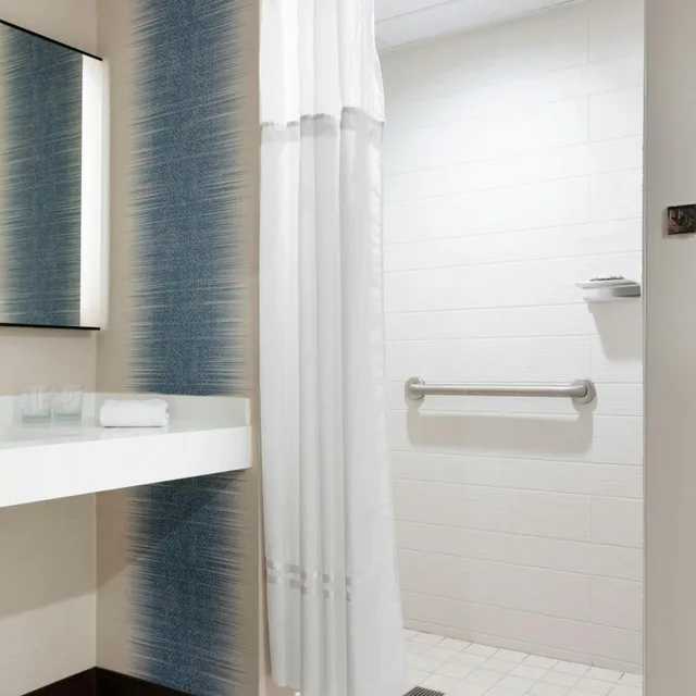 غرفة بسرير كينج بحوض استحمام لذوي الإعاقة، Des Moines Marriott Downtown 8/8