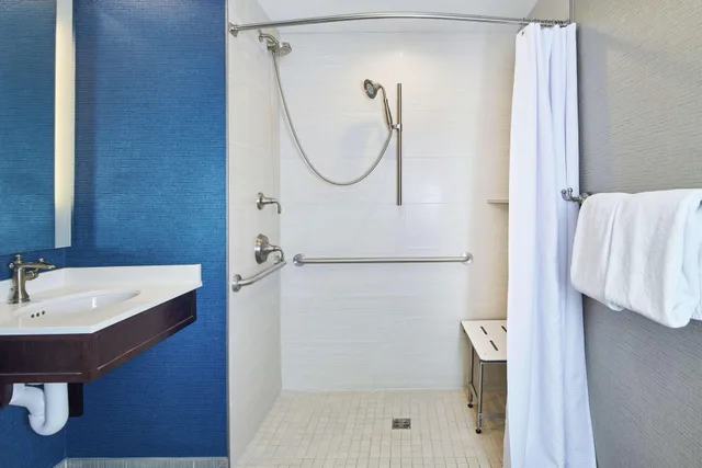 Room, King Bed, Accessible, Hotel Alex Johnson Rapid City Curio Collection By Hilton 5/6