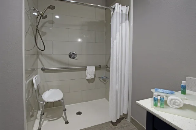 Suite, King Bed, Accessible, Holiday Inn Express Suites Houston North Iah Area 3/5