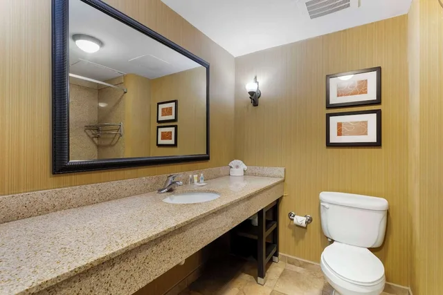 جناح بسرير كينج مع أريكة، Comfort Suites Kodak Sevierville 5/5