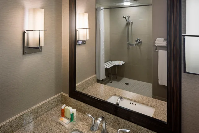 Premium, King Bed, Pool Access، Holiday Inn New Orleans - Downtown Superdome 4/4