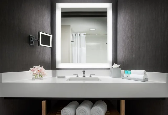 Executive, Suite, Hyatt Regency Bethesda 2/2