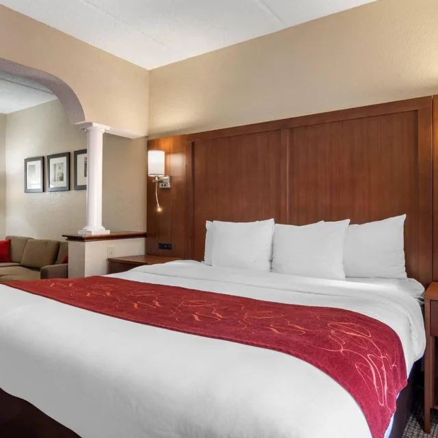 غرفة بسرير كينج مع أريكة، Comfort Suites Woodstock - Atlanta North 1/3