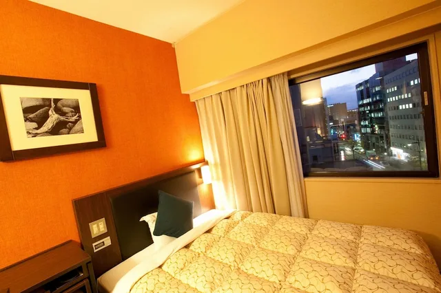 غرفة بسرير مزدوج، Toyama Manten Hotel 8/10