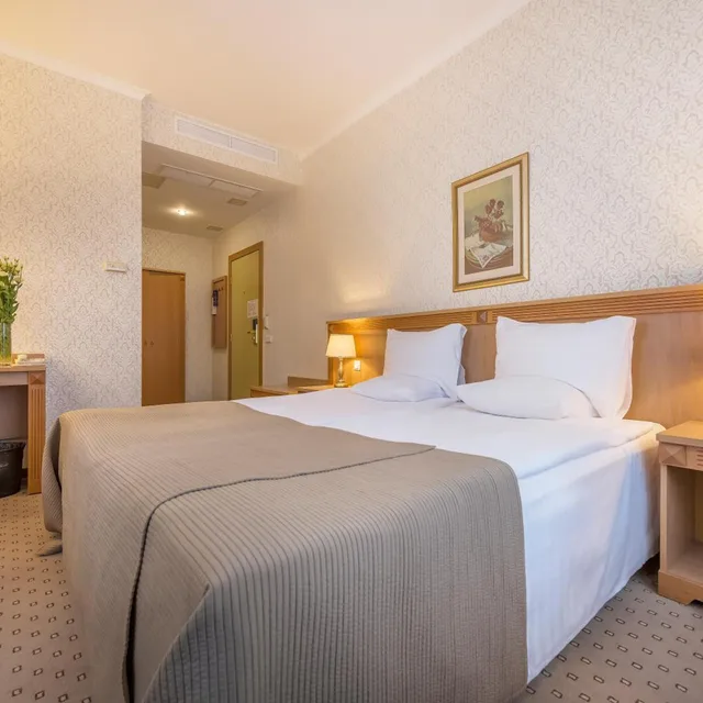 Room, Queen Bed, Balcony, Artis Centrum 4/8