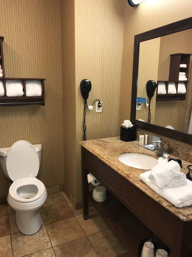 Study, King Bed, Sofa، Hampton Inn Suites Mcallen 5/6
