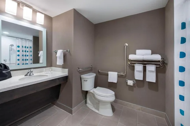 جناح بسرير كوين بغرفة نوم واحدة مع أريكة، Towneplace Suites Ottawa Kanata 5/7