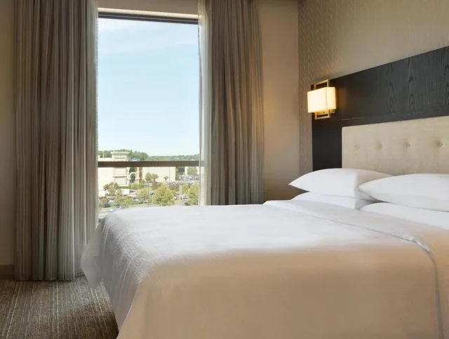 جناح بسرير كينج بغرفة نوم واحدة مع أريكة لذوي الإعاقة، Embassy Suites by Hilton Syracuse Destiny USA 1/4